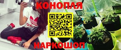 spice Ирбит