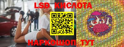 гидропоника Ипатово